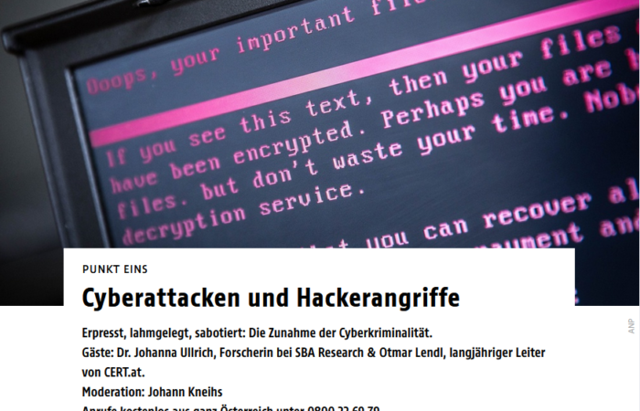 Blackmailed, crippled, sabotaged: the rise of cybercrime. Radio interview with Johanna Ullrich
